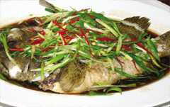 Steamed grouper with soy sauce