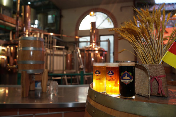 Những tác dụng không ngờ từ beer (bia) mà chắc chắn bạn chưa biết